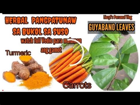 Gamot sa Bukol sa Suso .
